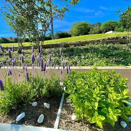 豪华帐篷 Independiente Con Preciosas Vistas Al Mar 贝梅奥